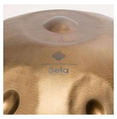 Sela SE 201 Harmony Handpan D Kurd roestvrij staal