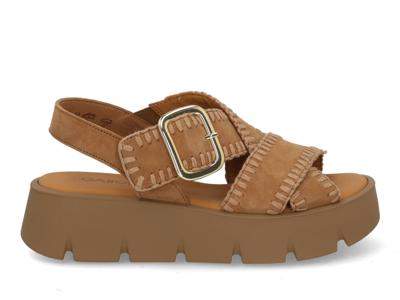 Gabor 84.751.14 sattel Cognac maat 37