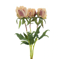Paeony Marlie bundle a 3 pcs peach 48 cm kunstbloem Erutan Avon - Erutan avon - thumbnail