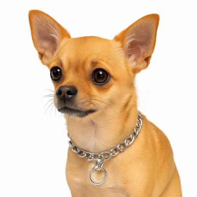 Nobleza Honden slipketting - Maat XS - 35 cm