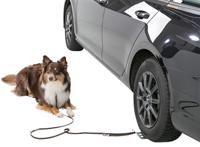 Parkeerstation voor honden Trixie - thumbnail