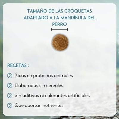 Nutrivet Inne Dog Atlantic hondenvoer 2 x 12 kg - thumbnail