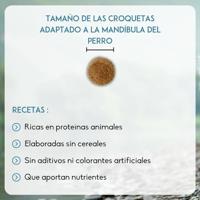 Nutrivet Inne Dog Atlantic hondenvoer 12 kg - thumbnail