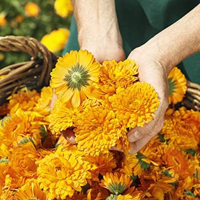 Weleda Baby Calendula Weer & Windbalsem