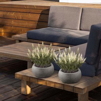 Lavender kunstplant 30cm UV creme