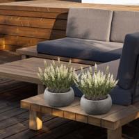 Lavender kunstplant 30cm UV creme - thumbnail