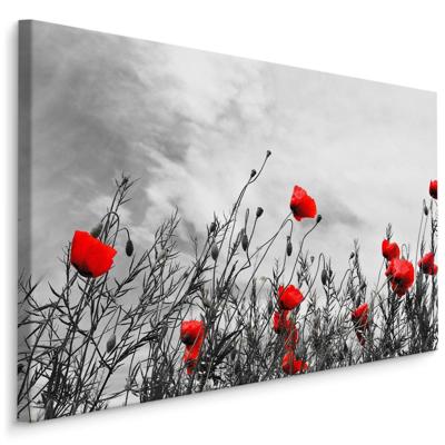 Schilderij - Rode klaprozen, zwart-wit veld, premium print