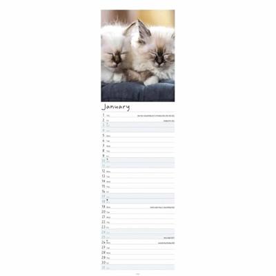 Kittens Kalender 2026 Slimline
