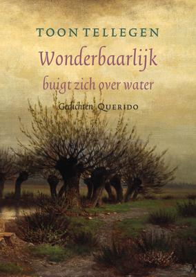 Wonderbaarlijk buigt zich over water - Toon Tellegen - eBook (9789021403571)