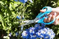 Schaar Cellfast 21 cm Blauw - thumbnail