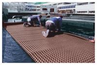 Dorken funderingsfolie zwart Delta-NB breed 2,40mtr (20mtr) - thumbnail