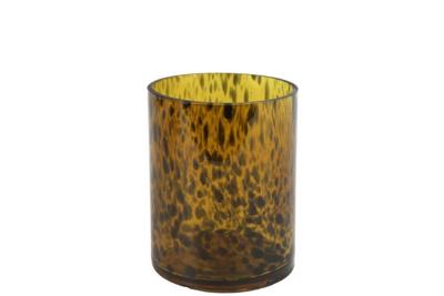 Theelichth luipaard rond Espen S