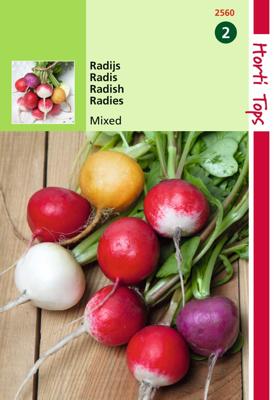Zaden Radijs Ronde Gemengd Hortitops - Hortitops