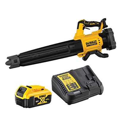 DeWALT DCMBL562P1 Accu bladblazer 18V XR 5.0Ah