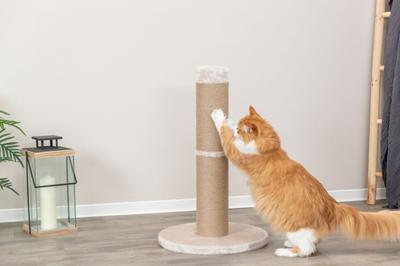 Trixie krabpaal gabriella xxl beige