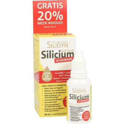 Silidyn Silicium Silidyn Silicium