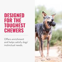 Hondenspeelgoed rubber extra large zwart Kong - Kong - thumbnail