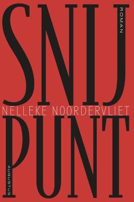 Snijpunt - Nelleke Noordervliet - ebook