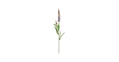 Veronica spray purple 76 cm kunstbloem Erutan Avon - Erutan avon Veronica spray purple 76 cm kunstbloem Erutan Avon - Erutan avon