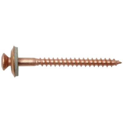 SWG 23424512019 Spengler-schroef 4.5 mm 120 mm TX RVS V2A 75 stuk(s)