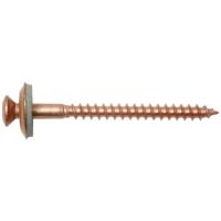 SWG 23424512019 Spengler-schroef 4.5 mm 120 mm TX RVS V2A 75 stuk(s) - thumbnail