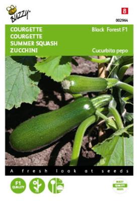 Courgette black forest f1 6zdn