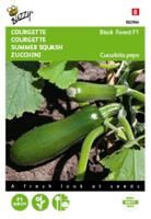 Courgette black forest f1 6zdn - thumbnail