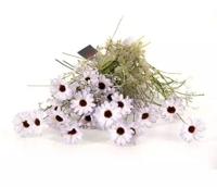 Kunst Tak Rhodante Lila Buitengewoon de Boet - Buitengewoon de boet - thumbnail