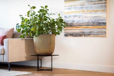 Capi nature groove nl bol bloempot 43x41 cm zwart goud - thumbnail