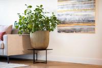 Capi nature groove nl bol bloempot 43x41 cm zwart - thumbnail