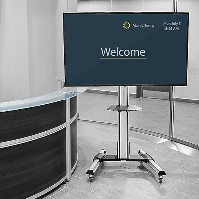 Trolley Startech STNDMTV70 Trolley Startech STNDMTV70