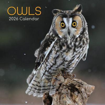 Uilen Kalender 2026 Uilen Kalender 2026
