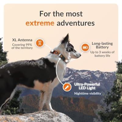 GPS hondenhalsband - WEENECT Dog XT - XL antenne - Waterdicht - Julius-K9 halsband - Werkt met abonnement - Zwart - thumbnail
