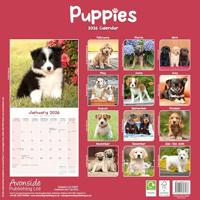 Puppies Kalender 2026 - thumbnail
