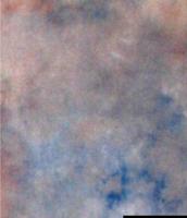 Falcon Eyes Achtergronddoek S122 2,9x7 m - thumbnail