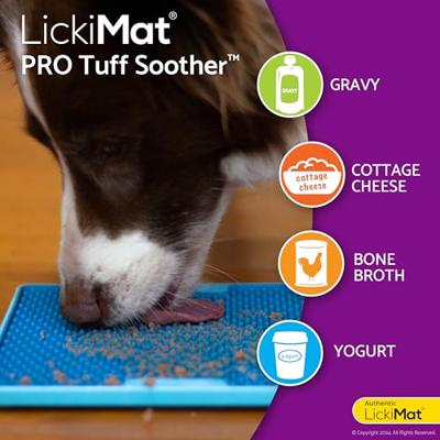 Voerbak voor honden Lickimat Groen Polypropyleen TPR