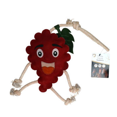 Excellent Horse Foodie Friends Raspberry