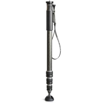 Gitzo Series 2 GM2542 monopod