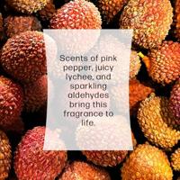 Woodwick Sparkling Pomelo Medium Candle - Champagne - thumbnail