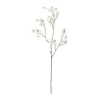 Kunst Bloesemtak Nigra 90cm Creme - thumbnail