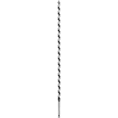 Bosch Accessoires Houtslangenboor, zeskant 10 x 360 x 450 mm, d 6,35 mm 1st - 2608597641