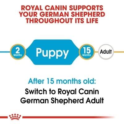Royal Canin German Shepherd voer voor puppy 3kg - thumbnail
