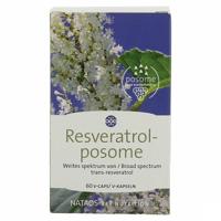 Nataos Key Nutrition Resveratrol-posome 60 Capsules - thumbnail