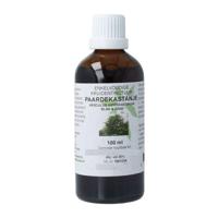 Cruydhof Aesculus hippocast/paardenkastanje tinctuur 100 Milliliter - thumbnail