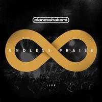 Endless Praise - CD (0000768565926) - thumbnail
