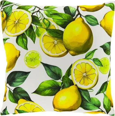 Sierkussen Coco 45x45cm Citroen