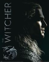Poster The Witcher - Shadows Embrace 40x50cm - thumbnail