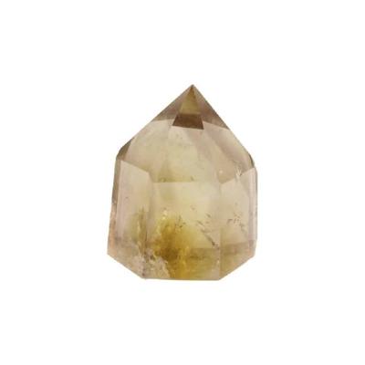 Citrien Puntje B (60-80 gram) Citrien Puntje B (60-80 gram)