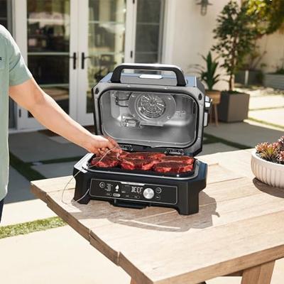Barbecue Draagbare NINJA OG901EU