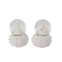 Schudbal zeester of zeepaard Ø4,5x7cm - thumbnail